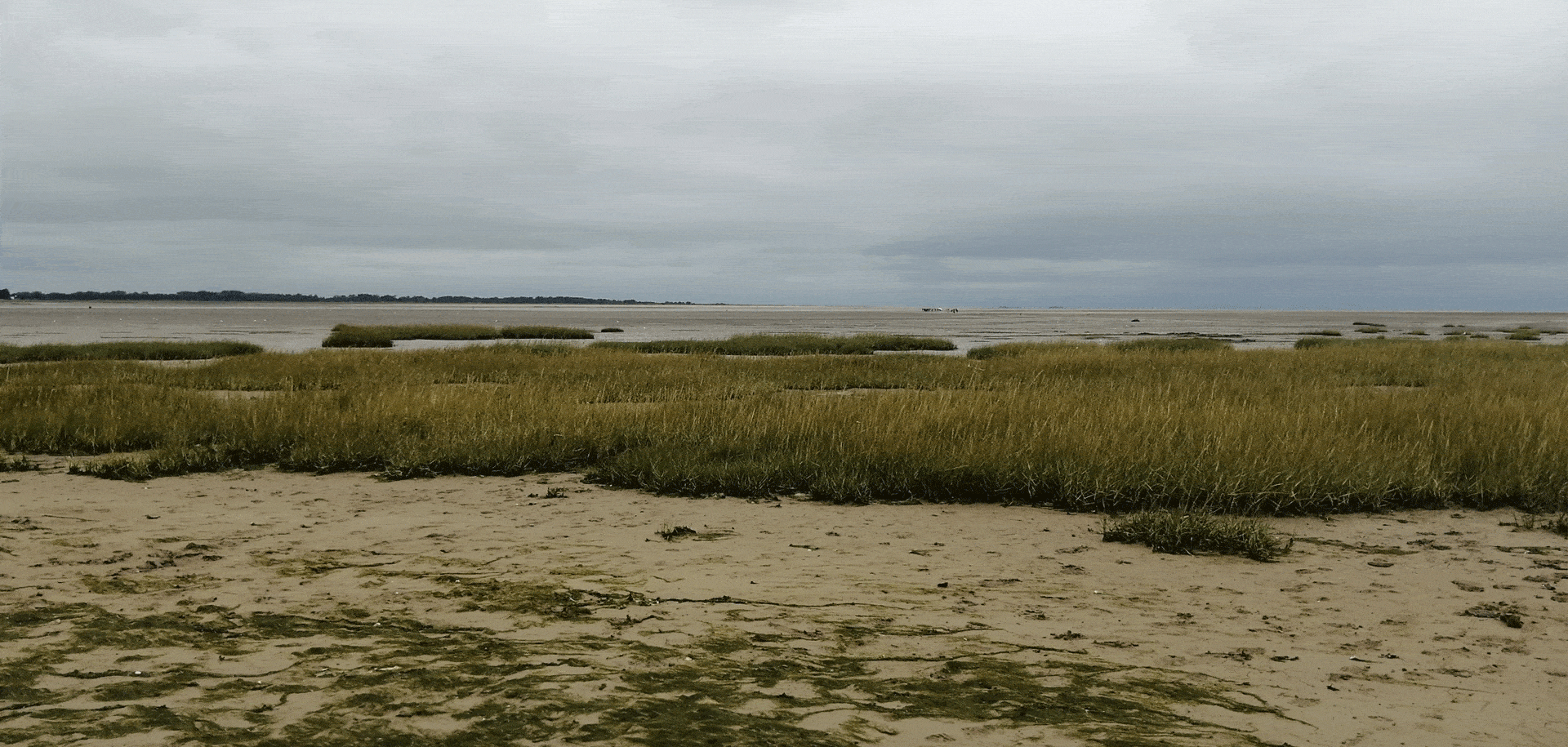 baie des veys