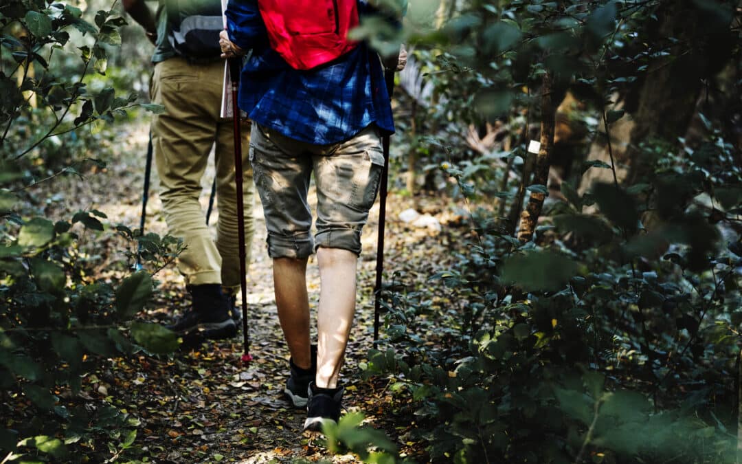 Wandern in der Region Cotentin