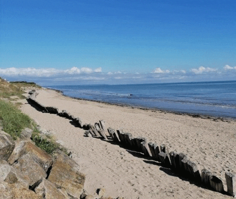 emplacement spacieux