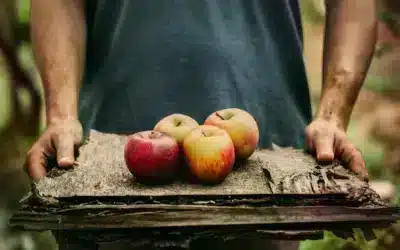 Un comienzo de año lleno de vitaminas en la región de Cotentin.