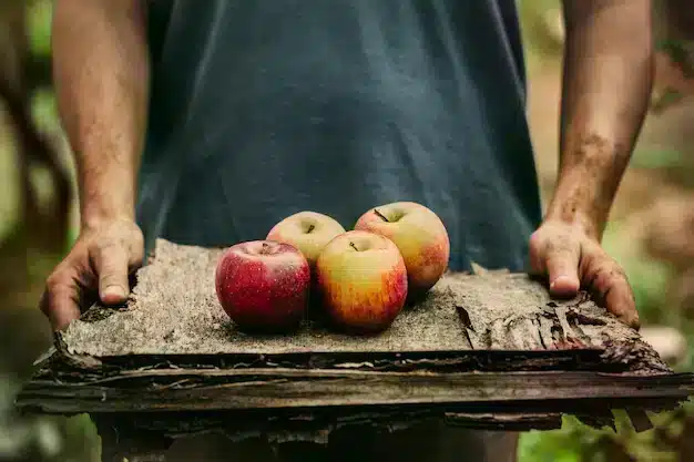 Un comienzo de año lleno de vitaminas en la región de Cotentin.