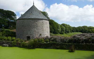 Été 2025 : Les Événements à ne Pas Manquer dans le Cotentin