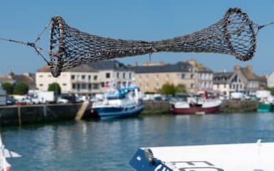 Uitstapjes in juli: verborgen haventjes en charmante dorpjes rond de baai van Veys